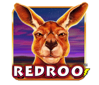 Red Roo pokies game tile